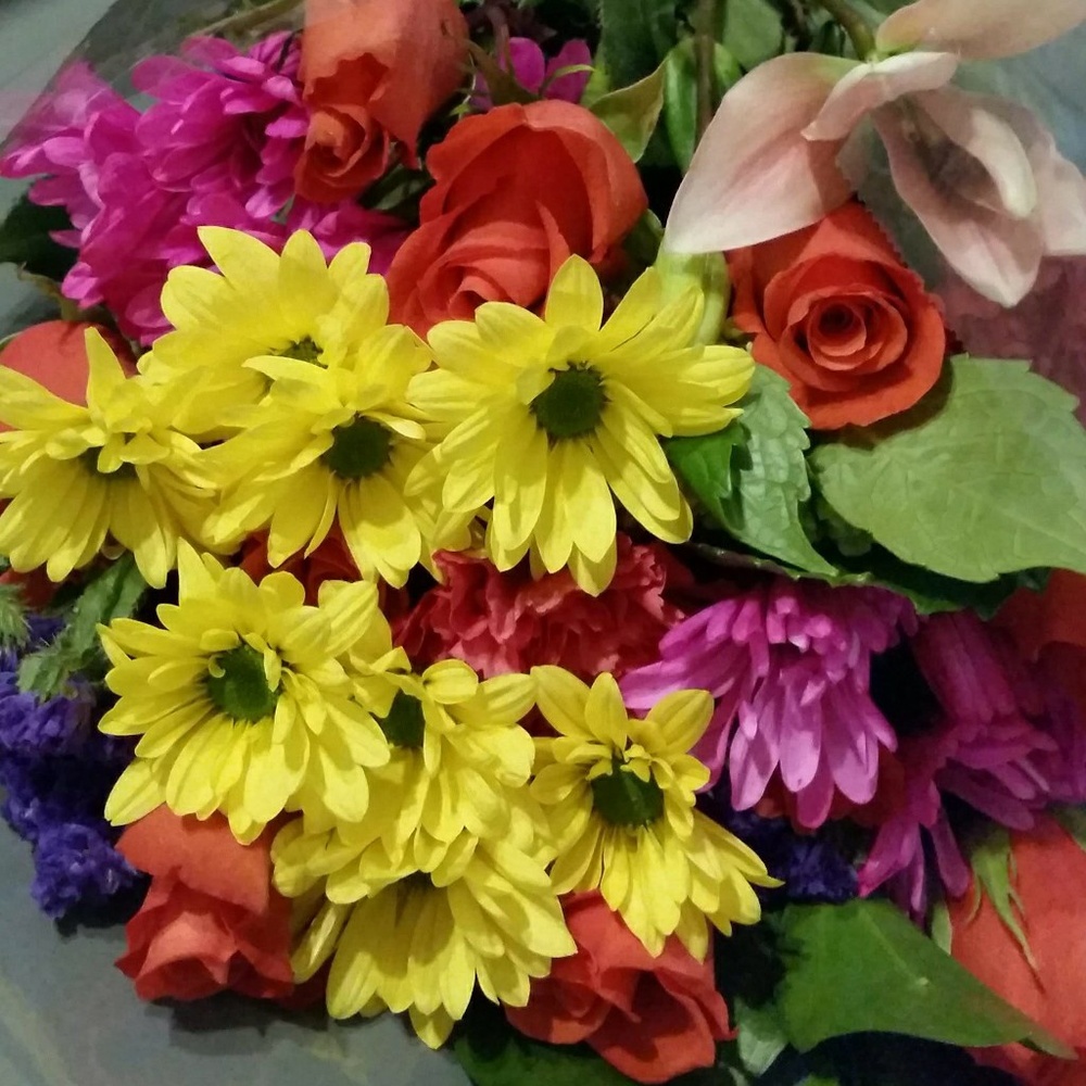 Meet your Posher, Suzette